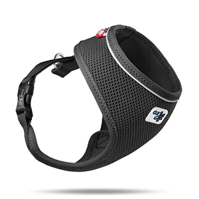 Imagen de Basic Harness Air Mesh Black S