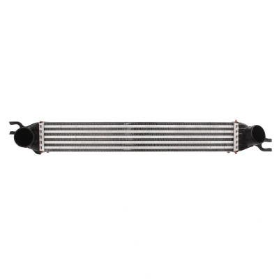 Imagen de Intercooler THERMOTEC DAB008TT