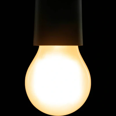 Imagen de SEGULA Bright LED High Power E27 7,5W mate
