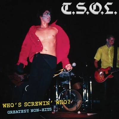 Imagen de Who&#039;s Screwing Who Greatest Non Hits [Vinilo]