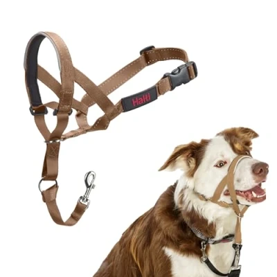 Imagen de Collar Ronzal HALTI para Evitar Que tu Perro Tire de la Correa, Ajustable con Banda Nariz Acolchada. Adiestramiento canino antitirones Perros medianos (Talla 2, Arena del Desierto)