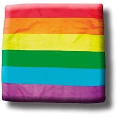 Imagen de Pañuelo 60 x Orgullo