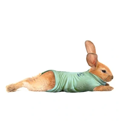 Imagen de MPS Medical Pet Shirt, Conejo, Verde, XS