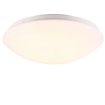 Imagen de Plafón led para baños ask 28 (12w) metal moderno