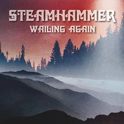 Imagen de Wailing Again [Vinilo]