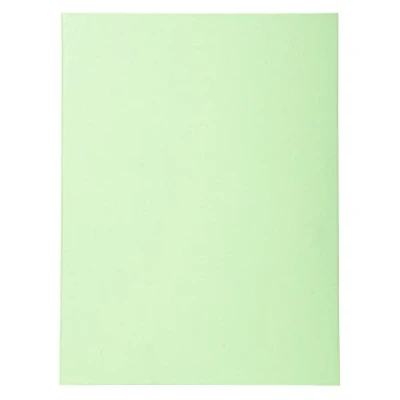 Imagen de Exacompta 420213E Lote de 50 Subcarpetas Forever® 180, Color Verde