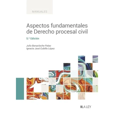 Imagen de Aspectos fundamentales de Derecho procesal civil (5.ª edición) (MANUALES PROFESIONALES)