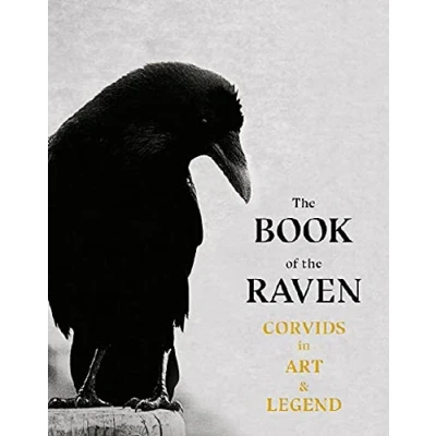 Imagen de The Book Of Raven