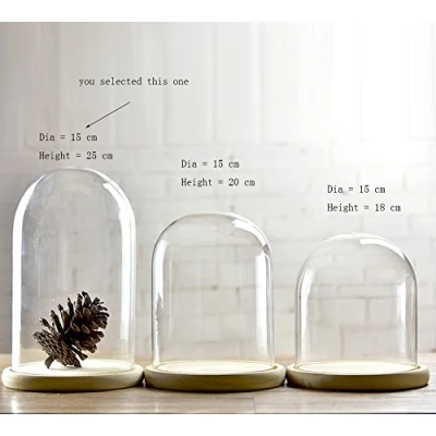 Imagen de Campanas de cristal con forma cúpula bandejas madera diámetro 15 cm, vidrio, transparente, Large