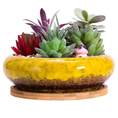 Imagen de ARTKETTY Maceta para suculentas, Grande de bonsái 18,5 cm con Bandeja cerámica suculentas Agujero Drenaje, macetas Poco Profundas Cactus Plantas