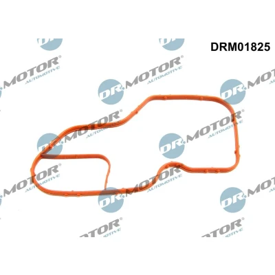 Imagen de DR.MOTOR AUTOMOTIVE DRM01825 Juntas lado de engranaje RENAULT: MEGANE IV Berlina, 3
