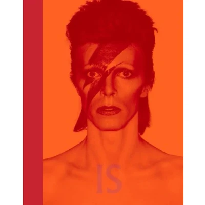 Imagen de David Bowie Is