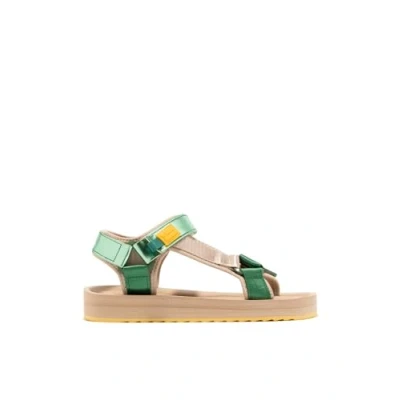 Imagen de Sandalias D.Franklin Forest Neo