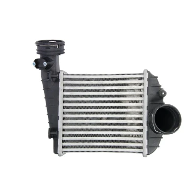 Imagen de Intercooler THERMOTEC DAW013TT
