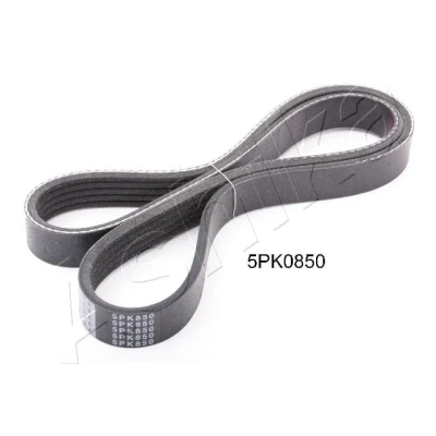 Imagen de Correa trapecial poli V ASHIKA 112 5PK850