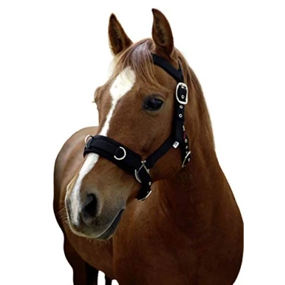Imagen de Kerbl cinturón de estocada plástico Cabestro, negro, unisex, halter VB, Negro