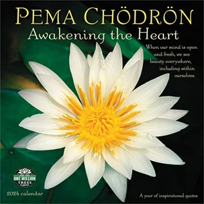 Imagen de Pema Chodron 2024 Calendar: Awakening the Heart a Year of Inspirational Quotes