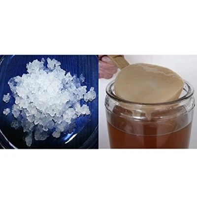 Imagen de Pack 100g de Hongo Kéfir Agua + Disco SCOBY Kombucha Frescos Instrucciones Recetas Ayuda y Asesoramiento en español KEFIRALIA®