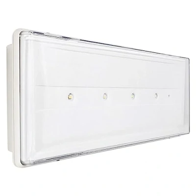 Imagen de BEGHELLI CEILING LIGHT STYLE EMERGENCY LED 11W 19500