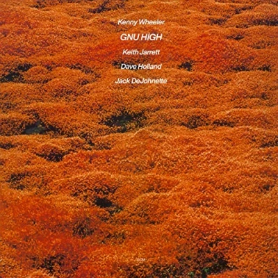 Imagen de Gnu High [Vinilo]