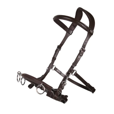 Imagen de QHP Cavesson Leather