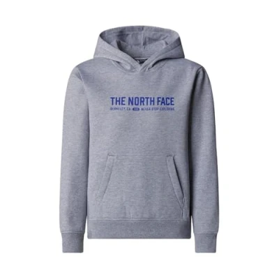 Imagen de The North Face Varsity Graphic Jersey con capucha para niños, Talla: Medium, Tnf light grey heather