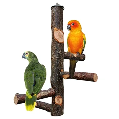 Imagen de Perchas para Loros, Perca de Pájaro, Madera Pájaros, Juguetes Pajaros, Periquitos Pequeños, Cacatúas, Cotorras, Guacamayos, Pájaros Amorosos, Pinzones