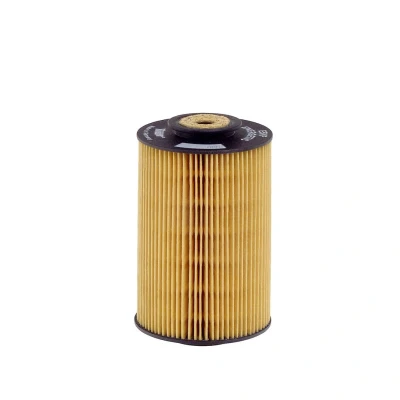 Imagen de HENGST FILTER E5KP Filtro Combustible Cartucho filtrante MERCEDES BENZ: Clase S Berlina, TATA (TELCO): Safari