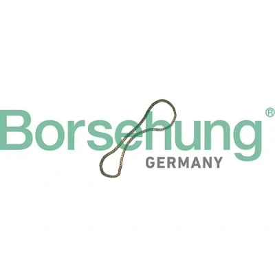 Imagen de Borsehung B12769 Cadena de Distribución VOLKSWAGEN: Touareg I, AUDI: A6 C6 Allroad
