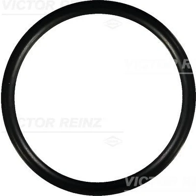 Imagen de REINZ 40 76752 00 Junta Colector de Admision NBR (caucho nitril butadieno) RENAULT: 25, LAGUNA 1, ESPACE 3, VOLVO: 240 Berlina, 760 Berlina