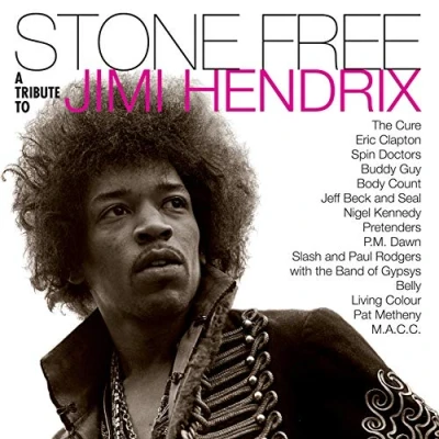 Imagen de Stone Free:A Tribute To Jimi Hendrix (2 LP Vinilo)