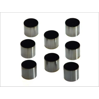Imagen de KOLBENSCHMIDT 50007548 Taqués Hidráulicos mecánico ambos lados RENAULT: MEGANE 2 Stufenheck, CLIO 2, 1, DACIA: Duster SUV, Lodgy, SANDERO