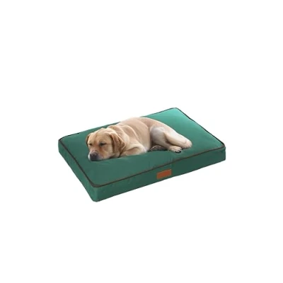 Imagen de Ellie Bo Colchón cama para jaula de perro, mullido y lavable, funda impermeable Oxford relleno poliéster jaulas tamaño 2XL 117 x 75 10 cm en color verde con ribetes marrones
