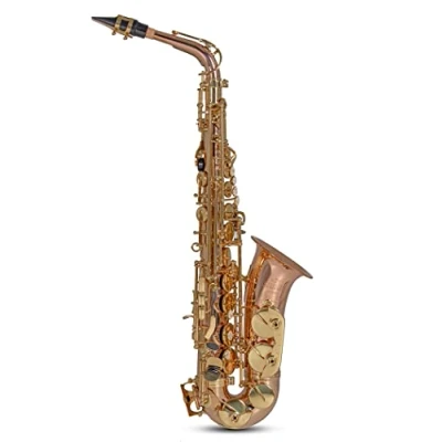 Imagen de Roy Benson Saxofón Mib Alt AS 202G (Lujoso cuerpo de bronce, llaves latón lacado, llave Fa# agudo, balancín Si/B, boquilla premium, estuche rectangular ligero, práctica función mochila)