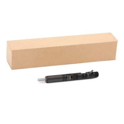 Imagen de DELPHI 28232251 Portainyector RENAULT: CLIO 3, Kangoo I, MEGANE 2