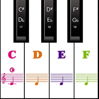 Imagen de MUYOS Pegatinas de piano para teclados 54/61/76/88 [transparentes y extraíbles], juego completo calcomanías teclas blancas negras (a todo color)