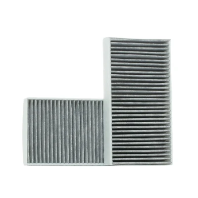 Imagen de VALEO CLIMFILTER PROTECT 715544 Filtro de habitáculo carbón activado 254 134 40 MERCEDES BENZ: Clase ML, R, GL