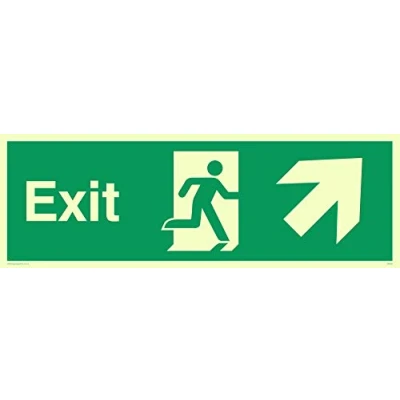 Imagen de Viking Signs SB438 L31 P Señal &quot;Salida&quot;, flecha hacia arriba, plástico semirrígido, foto luminiscente, 100 mm de alto x 300 ancho