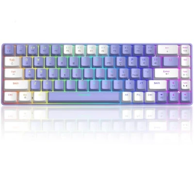 Imagen de T8 Teclado Mecánico RGB 60%, para Juegos con Cable Compacto 65%, Backlit LED 18 RGB, QWERTY Mini 68 Teclas Full Keys Anti ghosting PS4, Xbox, PC, Laptop, MAC Interruptor Azul/Púrpura