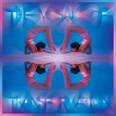 Imagen de The Mosaic Of Transformation [Vinilo]