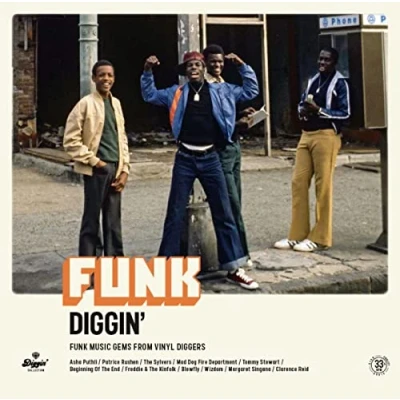 Imagen de FUNK DIGGIN&#039; MUSIC GEMS FROM VINYL DIGGERS [Vinilo]