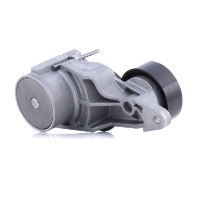 Imagen de INA 534 0319 10 Brazo tensor, correa trapecial poli V VOLVO: XC90 I, S60 I