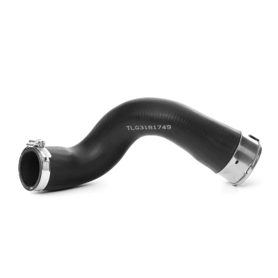 Imagen de BUGIAD 81749 manguera Turbo con abrazadera, abrazadera para DACIA: Duster SUV, LOGAN MCV 2, SANDERO RENAULT: Captur, Clio 4 norauto,