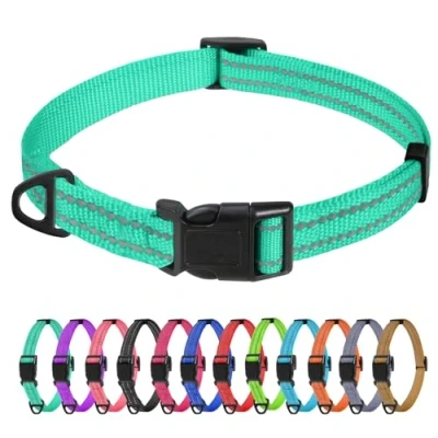 Imagen de TagME Collar Perro Ajustable,Collar Nylon Reflectante,para Caminar Correr Entrenamiento,para Perros Extrapequeños,Turquesa,1.5cm De Ancho