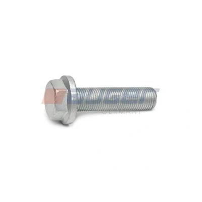Imagen de Tornillo, pinza de freno AUGER 105123