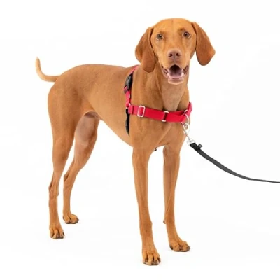 Imagen de PetSafe Easy Walk Arnés para Perros pequeños, medianos o Grandes, Correa de 1,8 M, Talla Color Rojo