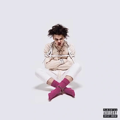 Imagen de 21St Century Liability [Vinilo]