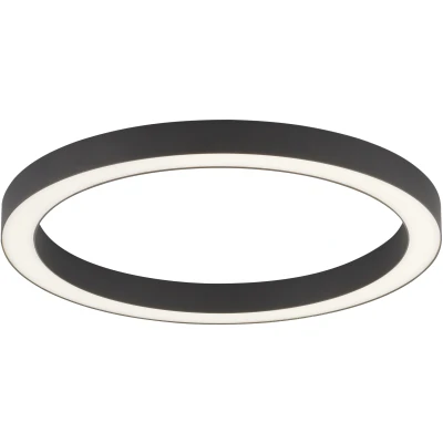 Imagen de Lámpara LED de techo PURE Lines, Ø 50 cm, antracita, CCT, control remoto