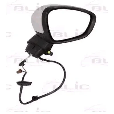 Imagen de Retrovisor exterior BLIC 5402 21 039364P Derecha