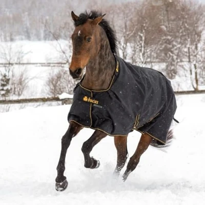 Imagen de Bucas Irish Turnout Light 0g
